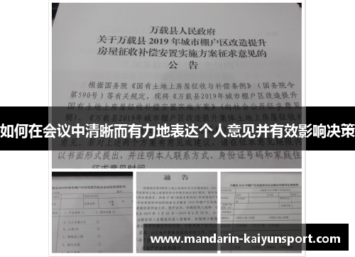如何在会议中清晰而有力地表达个人意见并有效影响决策 如何在会议中清晰而有力地表达个人意见并有效影响决策