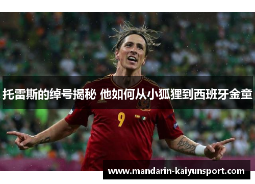 托雷斯的绰号揭秘 他如何从小狐狸到西班牙金童 托雷斯的绰号揭秘 他如何从小狐狸到西班牙金童