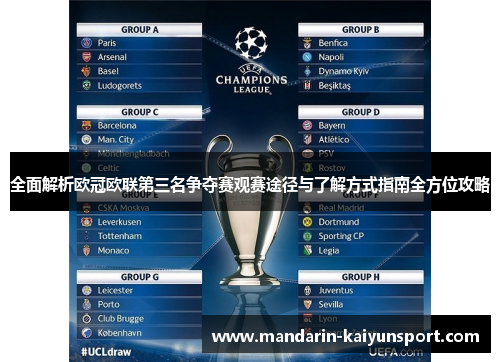 全面解析欧冠欧联第三名争夺赛观赛途径与了解方式指南全方位攻略