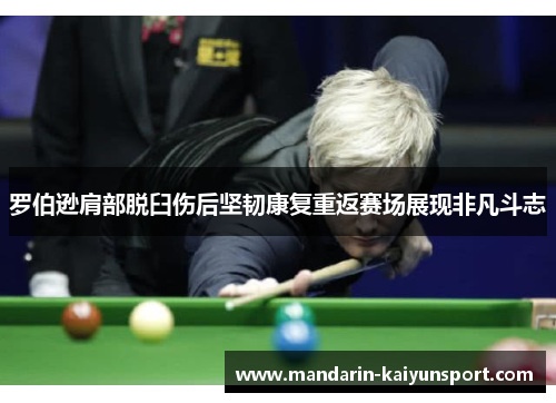 罗伯逊肩部脱臼伤后坚韧康复重返赛场展现非凡斗志