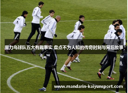 魔力鸟球队五大有趣事实 盘点不为人知的传奇时刻与背后故事 魔力鸟球队五大有趣事实 盘点不为人知的传奇时刻与背后故事